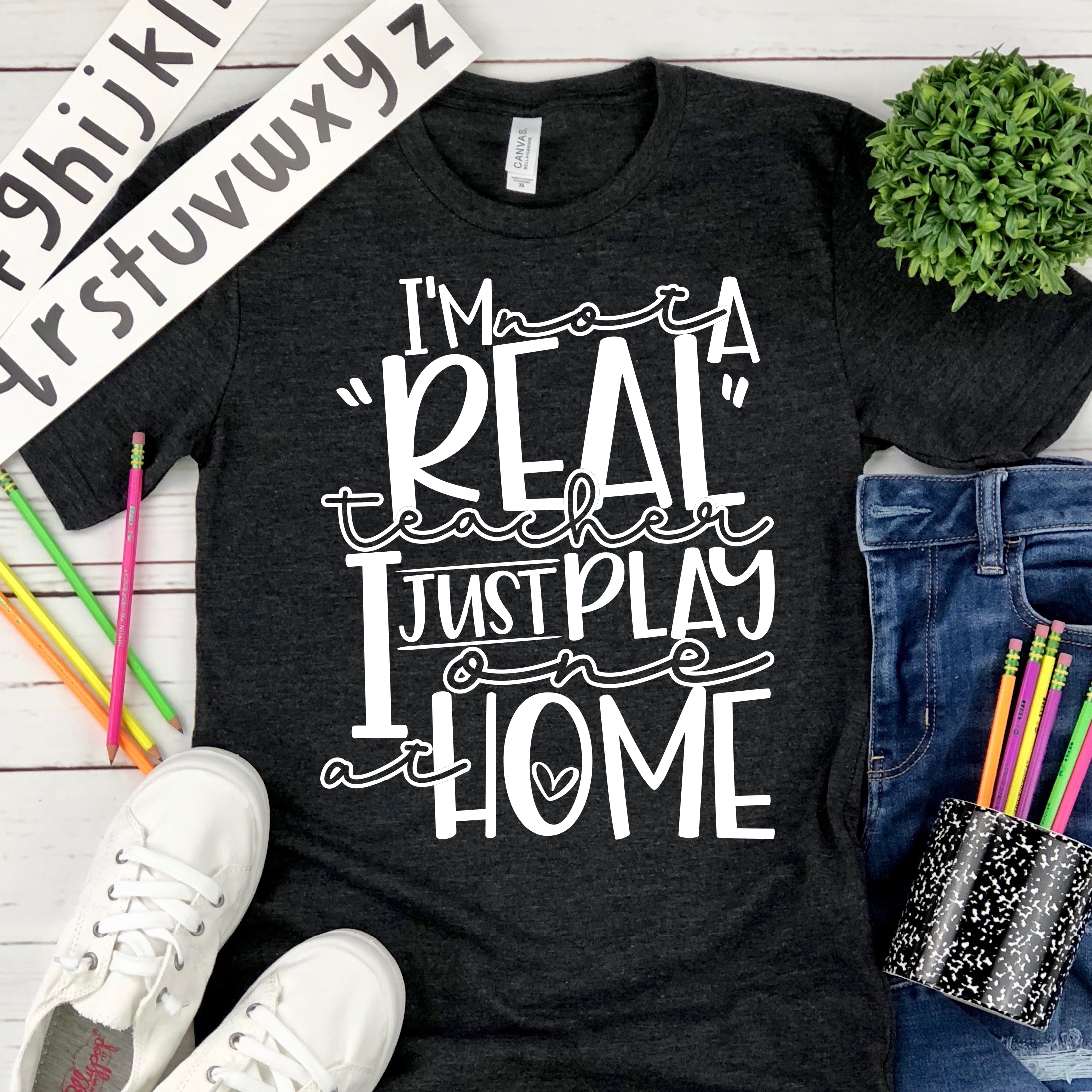 I'm not a real teacher *TRANSFER*