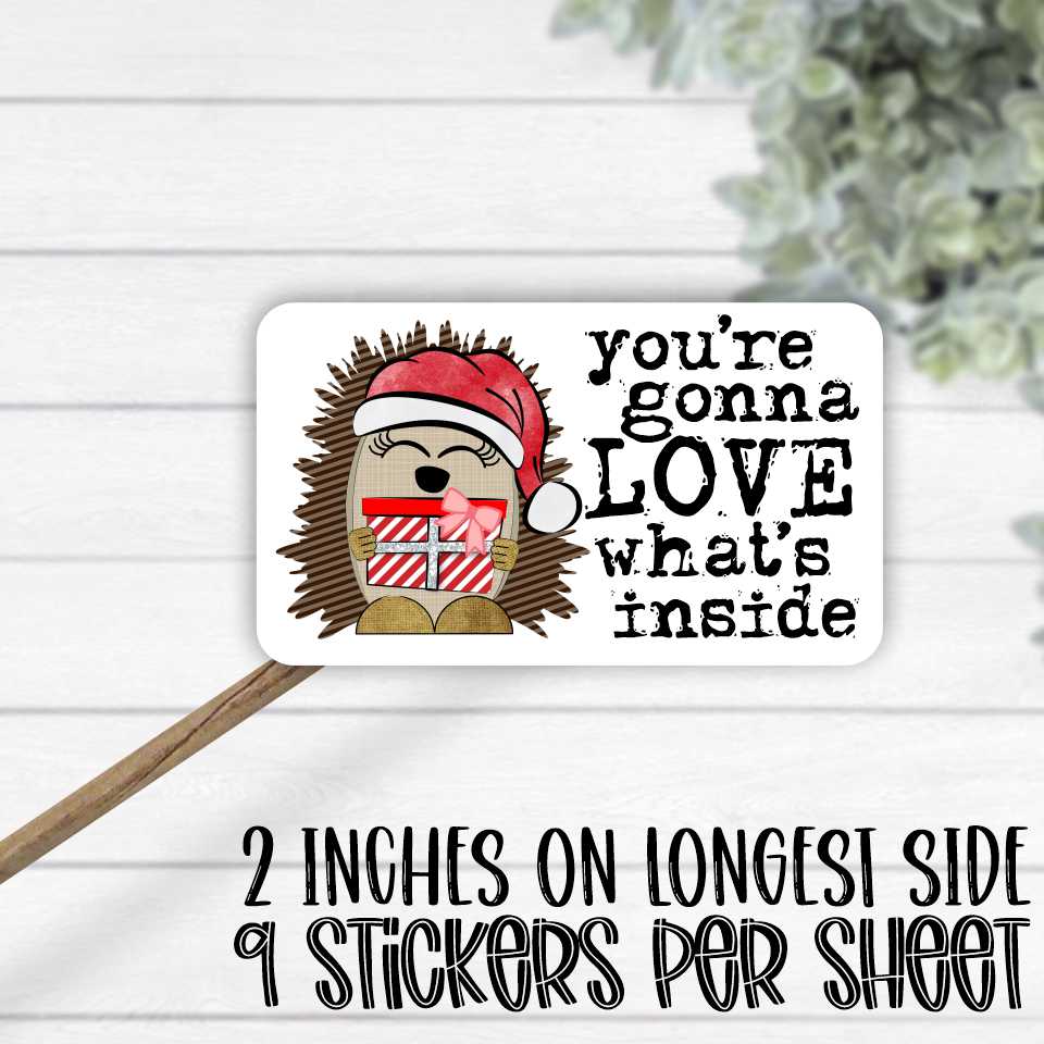 *STICKER SHEET* You're gonna love what's inside hedgehog