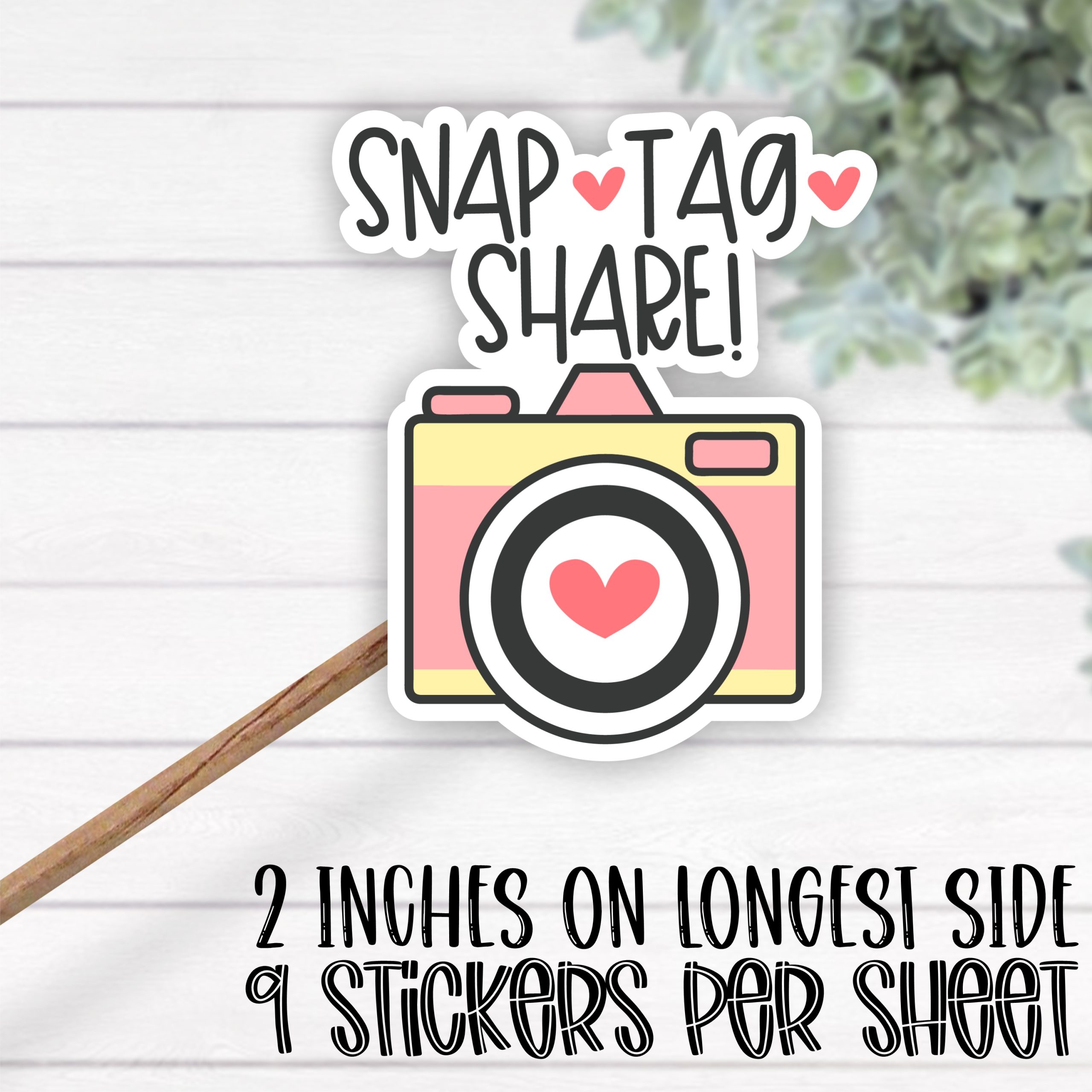 *STICKER SHEET* Snap tag share camera