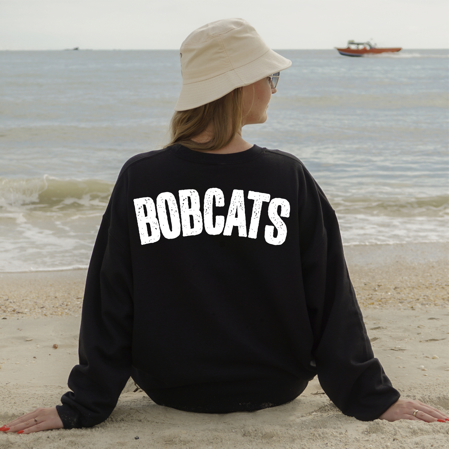 LIMITED EDITION Bobcats ARCHED *TRANSFER*