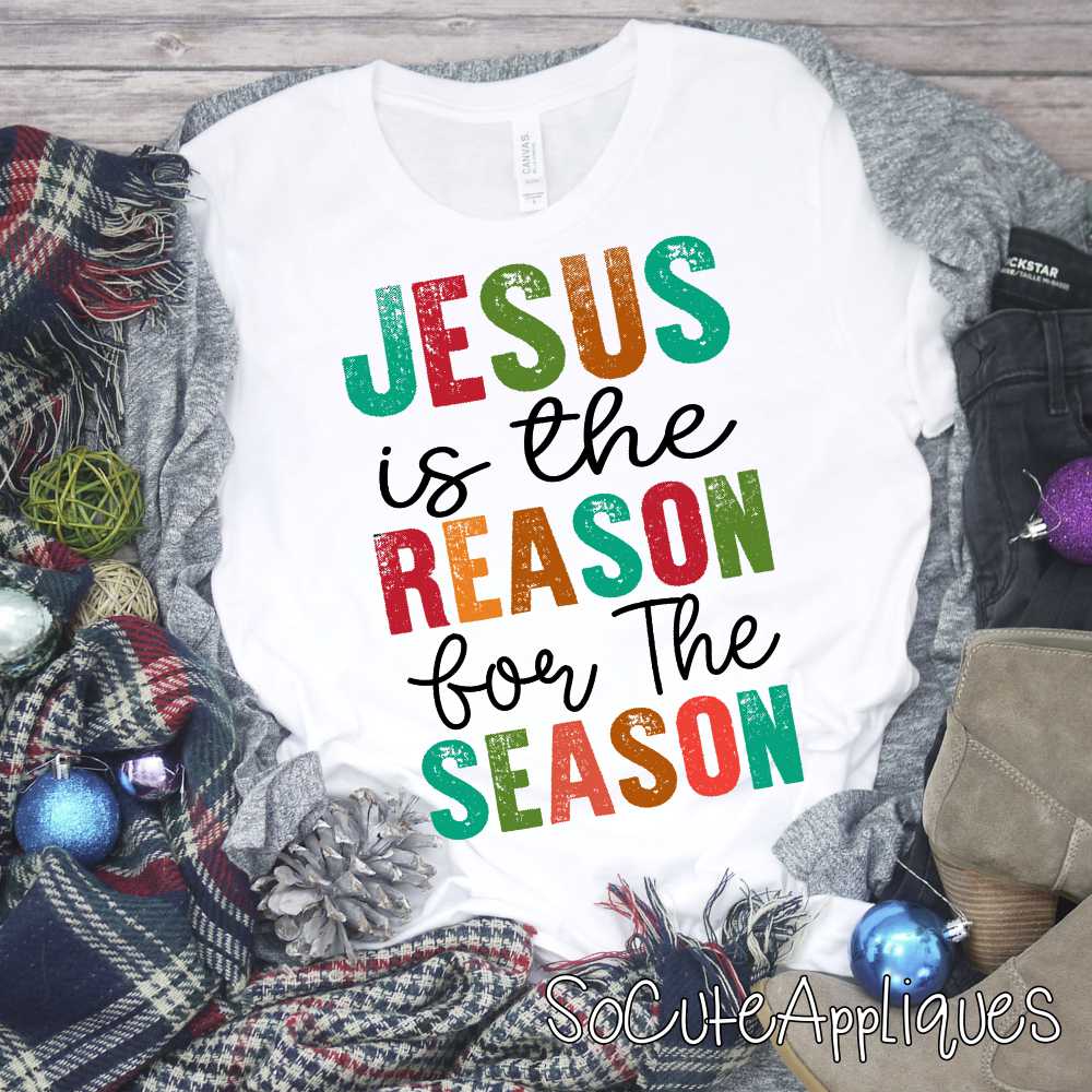 Jesus is the reason *DTF* Transfer
