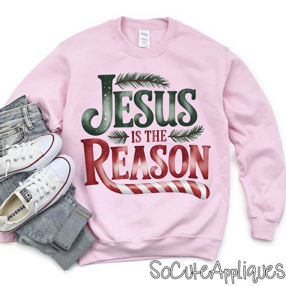 Jesus is the reason *DTF* Transfer