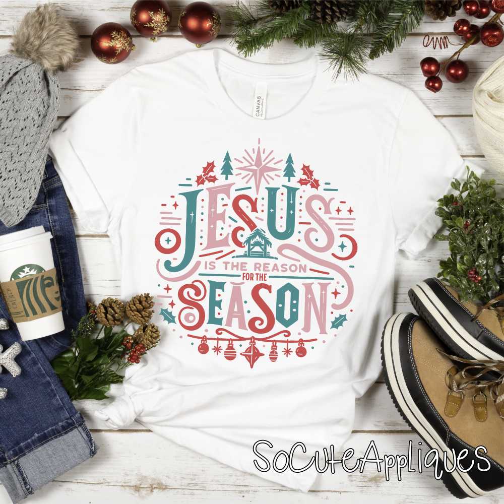Jesus is the reason *DTF* Transfer