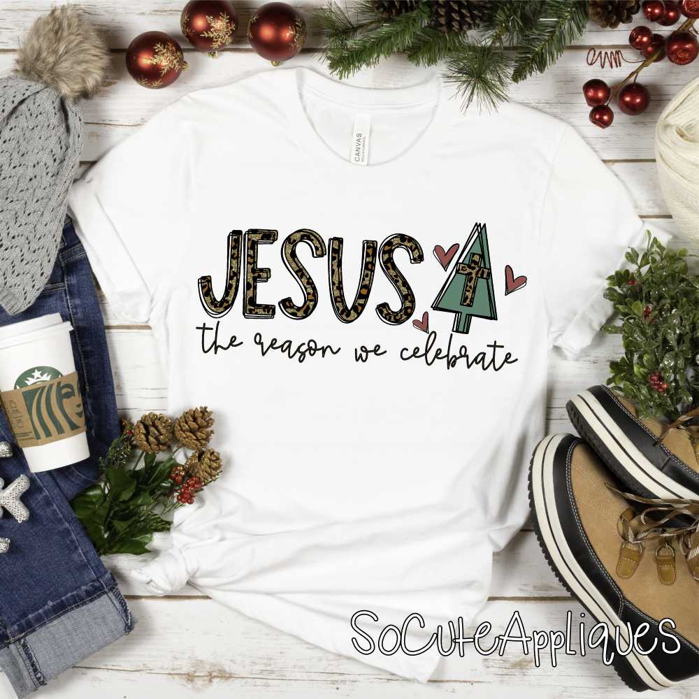 Jesus is the reason *DTF* Transfer