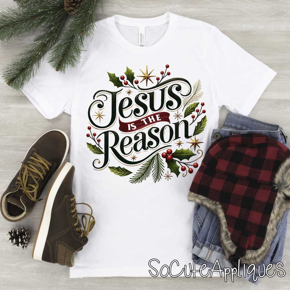 Jesus is the reason *DTF* Transfer