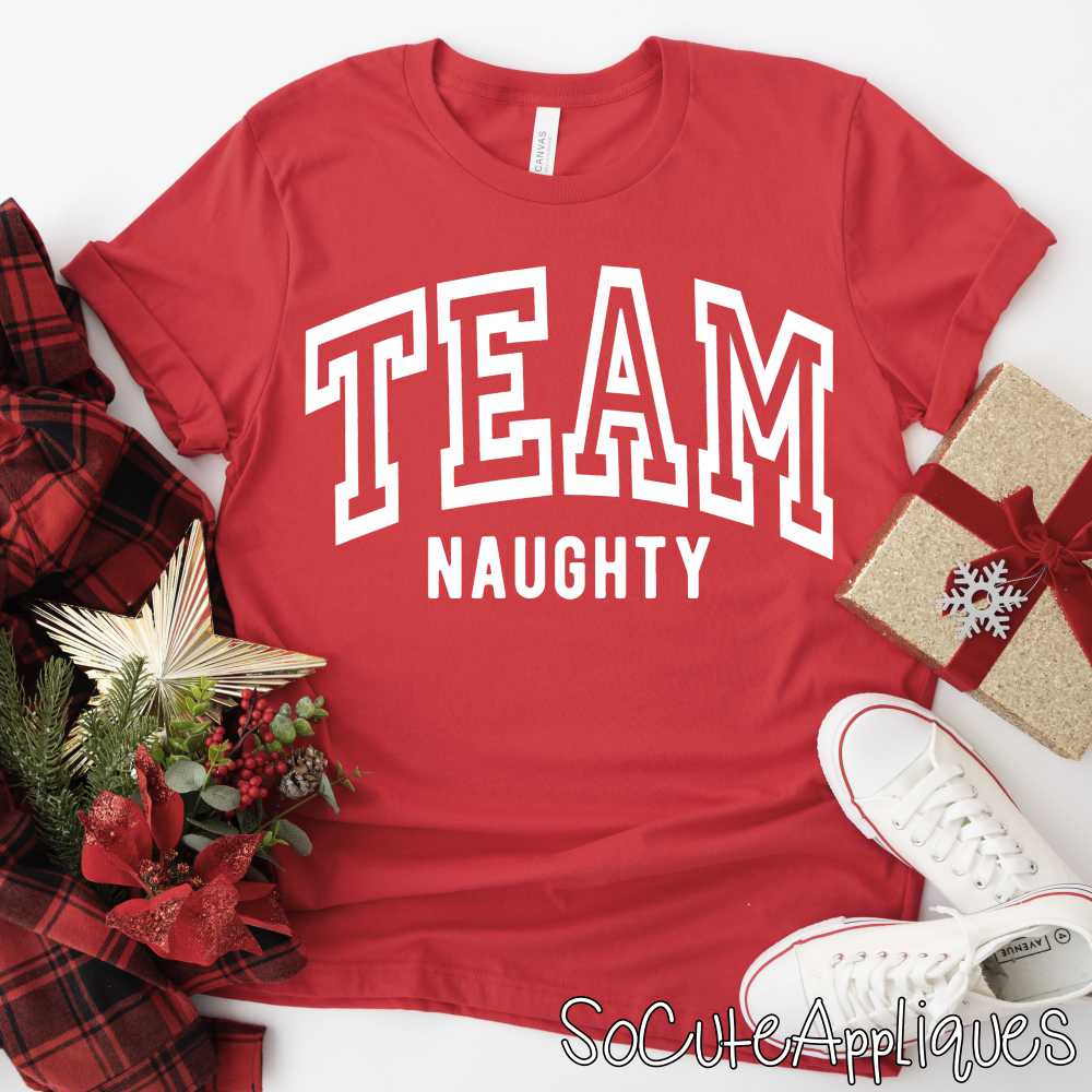 Team Naughty *DTF* Transfer