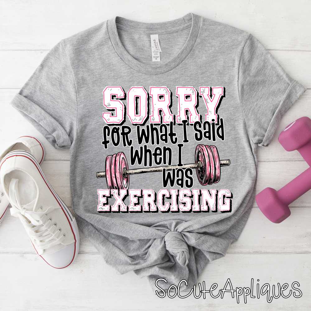 Sorry for what I said when I was exercising *DTF Transfer*