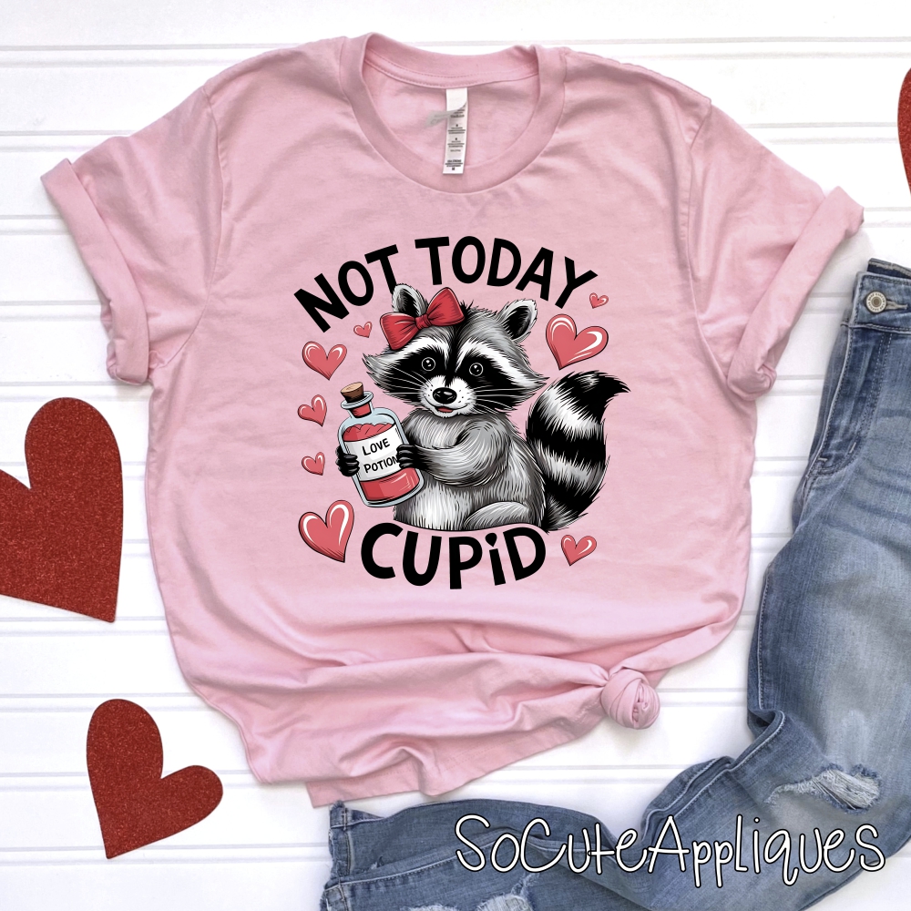 Not today cupid RACOON *DTF* Transfer