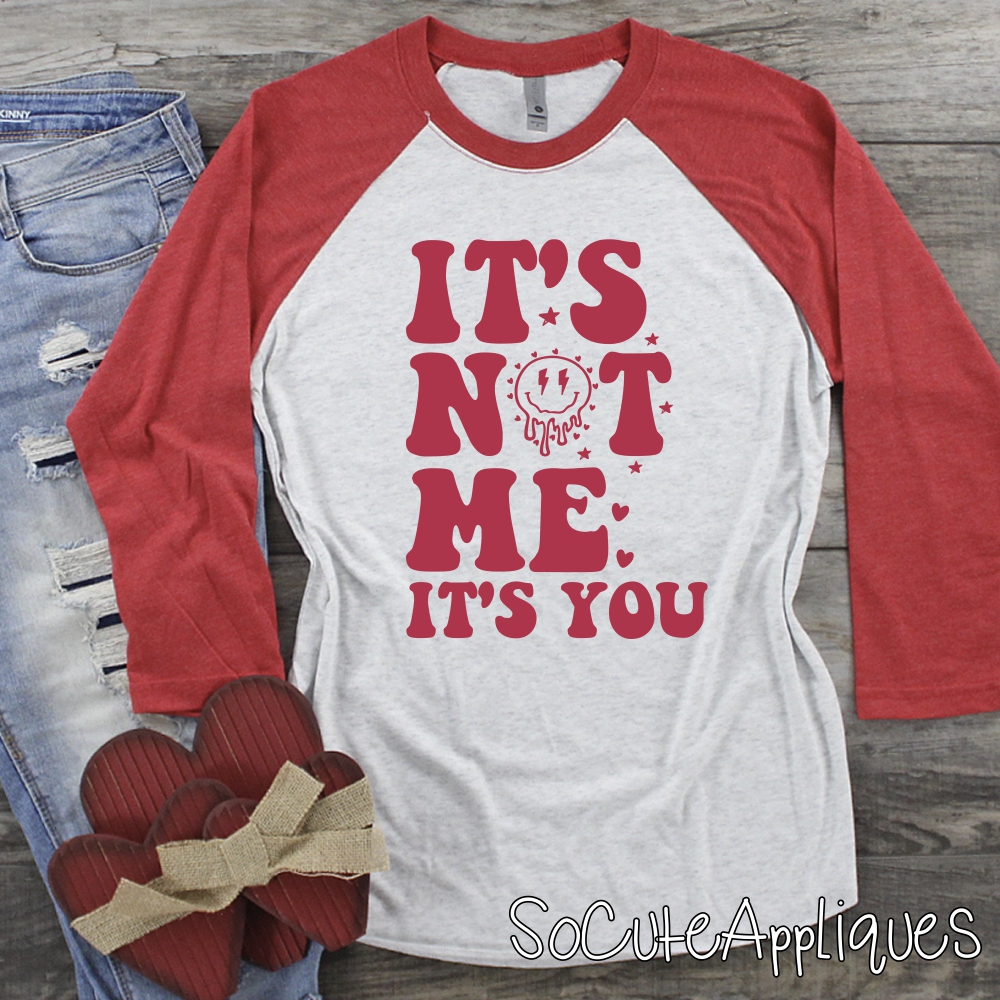 Its not me its you *DTF* Transfer