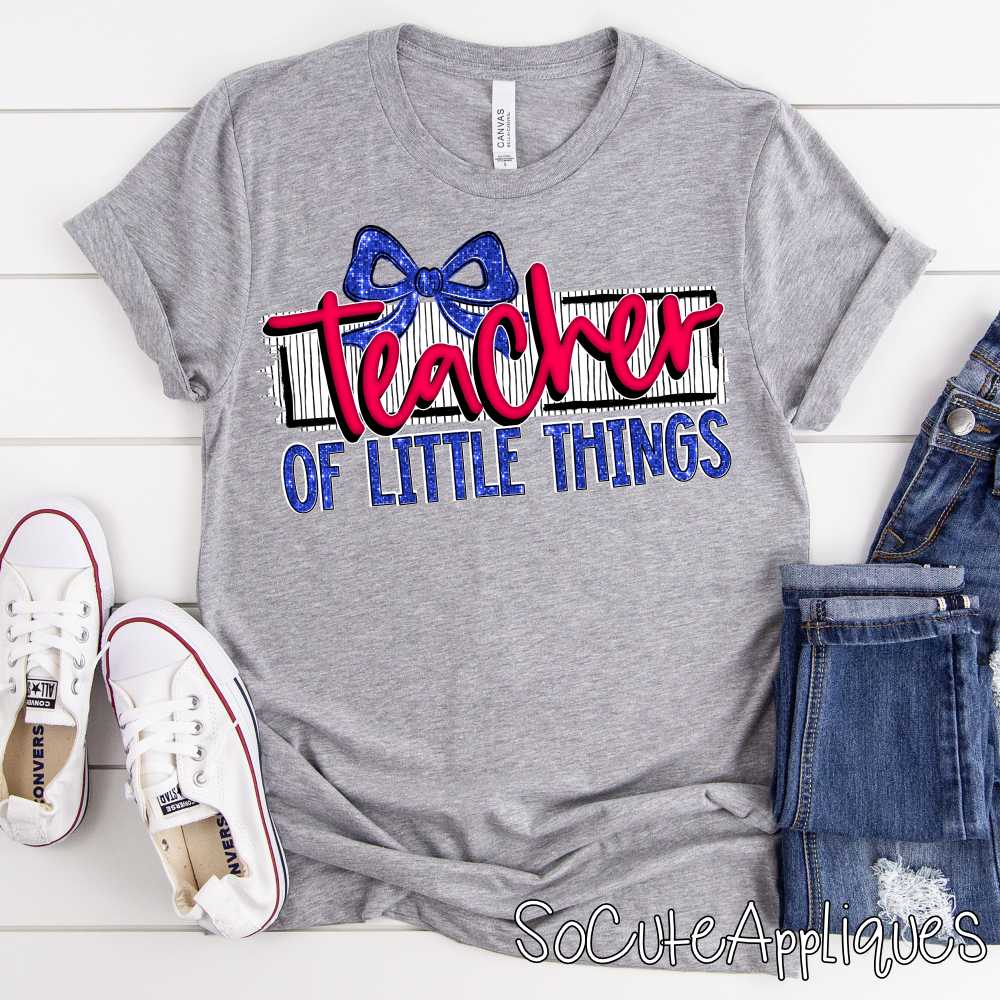 Teacher of little things*TRANSFER*
